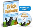 Trick Training