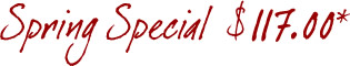spring-special